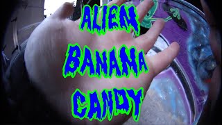 ALIEN BANANA CANDY - PORTLAND OREGON SKATEBOARDING JELLYHEAD 2024 OuT oF FoCuS SUPERFISHEYE PDX NEW!