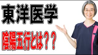 東洋医学の陰陽五行って何？？（札幌 めまい/耳鳴り）