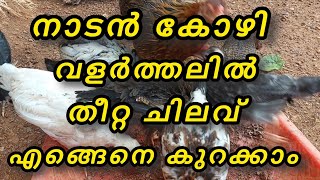 നാടൻ കോഴി വളർത്തലിൽ തീറ്റ ചിലവ് കുറച്ച് എങ്ങെനെ ലാഭകരമാകാം | Naadan kozhi | Amaan kitchen