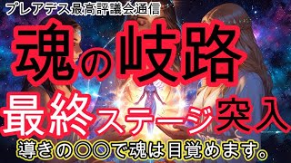 魂の岐路【評議会通信】アセンションの最終ステージ突入 魂の覚醒　#アセンション #スピリチュアル #プレアデス #ハイヤーセルフ #スターシード #ライトワーカー#次元上昇#シリウス#アンドロメダ