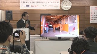 【HTBニュース】馬の８Ｋ映像を５Ｇで伝送　画期的実験　新冠で