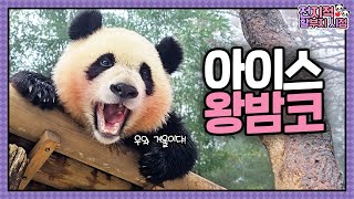 [전지적 할부지 시점] ep.201 