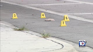 2 wounded in drive-by shootout on northwest Miami-Dade highway, police say