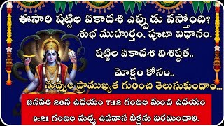 పితృదేవతల శాపం వేధిస్తుందా? షట్టిల ఏకాదశి (జనవరి 25)న ఇలా చేయండి | Shattila Ekadashiki 2025 Details