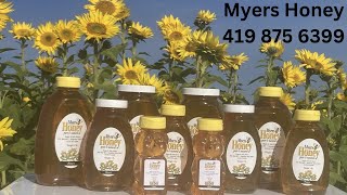 Myers Honey The 2024 Sunflower Project