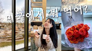 🇺🇸미국 정착 일상 | 남편 생일 주간 핑계로 먹는 걸로 꽉 채운 한 주😋 | 피츠버그 맛집 발견?!, 웨스트 버지니아 당일치기 여행🚙