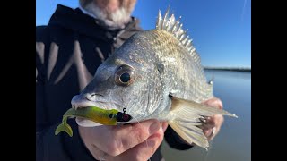 PTP Fishing - A morning on the Logan River (Brisbane)