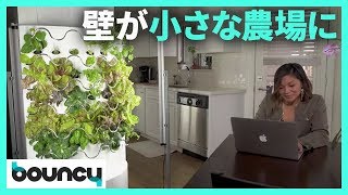 家の壁に畑が！ 最大30個の作物を育てられる家庭菜園「iHarvest」