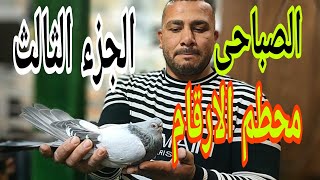 المميز قليل في العصرالحالي (لقاء القمة)#الحمام_الغزار #egypt_swift_pigeons #macaloney_racing_pigeons