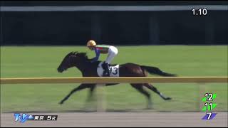 私の一口出資馬インディゴブラック東京競馬5レース新馬戦