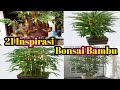 21 Bamboo Bonsai Inspiration