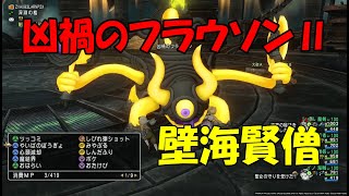 【フラウソン２】海賊視点　超安定！！　壁海賢僧構成　初日討伐08分57秒70【ドラクエ１０】【配信切り抜き】