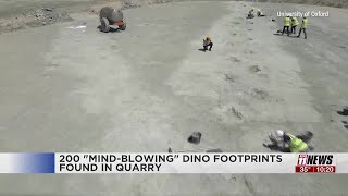 Hundreds of dinosaur footprints found preserved in quarry