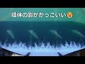 世木ダム 放流【京都府】