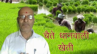 chaite dhan kheti || चैते धान खेतीको लागि बिउ कसरी छनौट गर्ने  || rice farming || HN Thakur