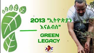 #Shorts ኢትዮጵያን እናልብሳት በሚል መሪ ቃል ''6ቢልየን ችግኝ ለመትከል |  1 ቢልየን  ችግኝ ደግሞ  ለጎረቤት ሀገሮች ይታደላል''