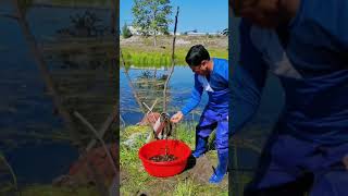 【搞笑漁民真實生活】东北大哥抓大鱼！#fishing #shorts