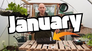 What I'm Sowing in January 2025 Vegetable Garden