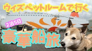 【わんこと女子の船旅】ウィズペットルームで快適に過ごす♪さんふらわあの旅 4K〜Japanese boat trip 「sunflower」to go with dog〜