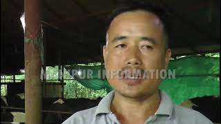 Manipur’s Kerani Chutok Dairy aims to  bring a white revolution