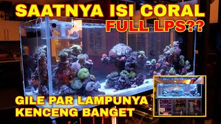 ISI CORAL TANK SULTAN SEMARANG!