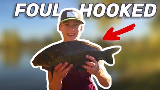 I FOUL Hooked A NEW SPECIES?!?