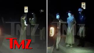 Britney Spears Dashcam Shows Cops Cuffing Her After Failing Sobriety Test | TMZ