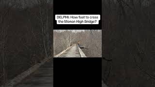 How long does it take to cross the Monon High Bridge? #delphimurdertrial #richardallen #delphi