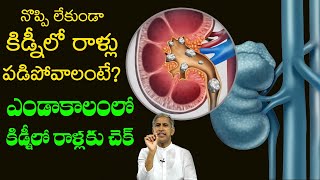 Kidney Stones 🥵🥶 ఎండాకాలం లో కిడ్నీ రాళ్ళ సమస్యకు చెక్ | Dr Manthena Satyanarayana Raju