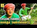 தமிழன் பாரம்பரியத்தை  மீட்கும் வெள்ளைக்காரர் : Krishna McKenzie's Organic Farming | Pondicherry