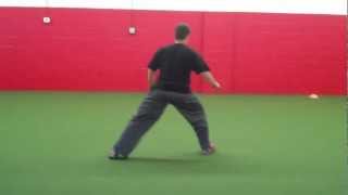 Alternating Lateral Lunge Walk