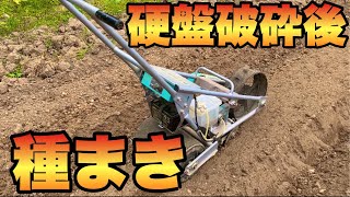 硬盤破砕した畑に種まき（いつもより短め動画）【炭素循環農法】