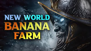 BEST New World Best Banana Farm Locations 2024