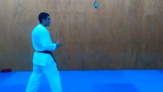 Yoko tobi geri/flying side kick tutorial
