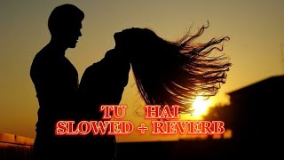 Tu Hai | Slowed+Reverb | Darshan Raval | trending lofi song