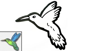 Wow!!Cara menggambar burung kolibri ganas | how to draw a hummingbird easy for beginners