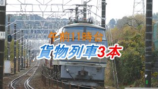 静岡県西部JR貨物記 ストレートを下る午前11時台の貨物列車3本 東海道本線 2022/12/22