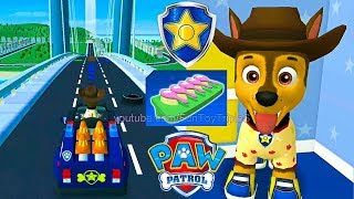 PAW Patrol: A Day in Adventure Bay - Chase #1