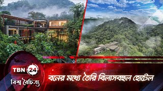 বনের মধ্যে তৈরি বিলাসবহুল হোটেল | Cloud Lodge | TBN24 BB EP-150.3