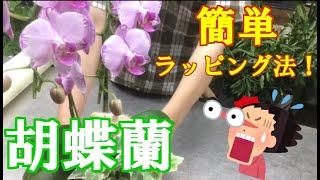 【胡蝶蘭】ラッピングの方法をご紹介！！同じことを４回するだけでできます。