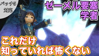 【FF14】ゼーメル要塞に学者(ヒーラー)で挑戦【これだけ知っていれば怖くないヒーラー編 2021年版】