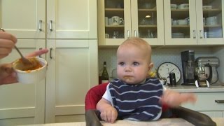 Babies Starting Solids