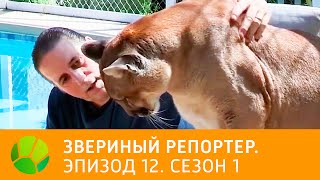 Звериный репортер. Эпизод 12. Сезон 1 | Живая Планета