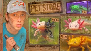 I Found an Abandoned Axolotl Pet Store...