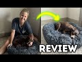 KSIIA Fluffy Calming Dog Bed | Review