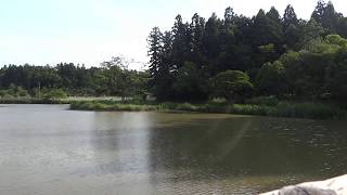 水辺のある風景　柏崎・夢の森公園