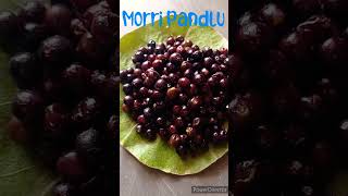 Morri Pandlu summer fruit #shorts #trending #healthbenifits  #ytshorts #tastyfood