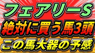 【フェアリーS2025】新星登場か。馬は間違いなく強い...！『絶対に買うのはこの馬』