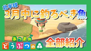 【今だけ！】あつ森で3月中に釣らなきゃ損なお魚紹介！※概要欄ご覧ください【北半球編】