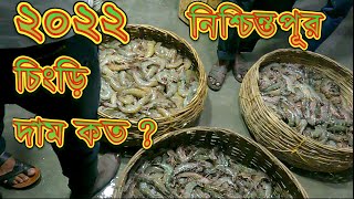 নিশ্চিন্তপুর মাছের বাজার || West Bengal fish market || 2022 সালের ডিসেম্বরে চিংড়ির দাম